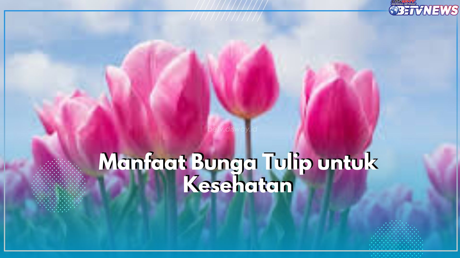 Tak Hanya Sebagai Tanaman Hias, Inilah Sederet Manfaat Tersembunyi Bunga Tulip untuk Kesehatan