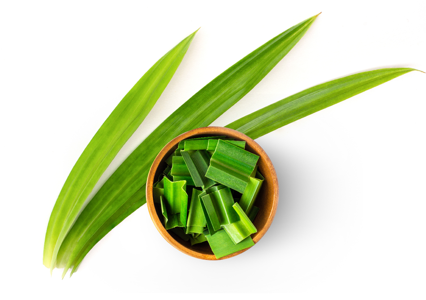 Tak hanya Pandan Wangi, Ini Ragam Jenis Daun Pandan yang Ada di Indonesia 