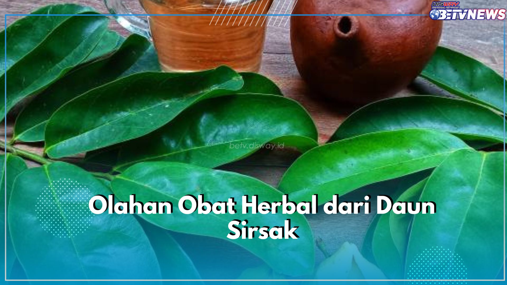 Jadikan Obat Herbal! Ini Cara Mudah Mengolah Daun Sirsak, Yuk Cobain, Bikin Badan Jadi Sehat