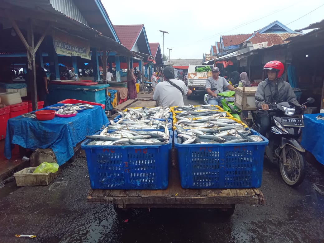 Jelang Ramadan, Harga Ikan Laut di TPI Pulau Baai Terpantau Stabil