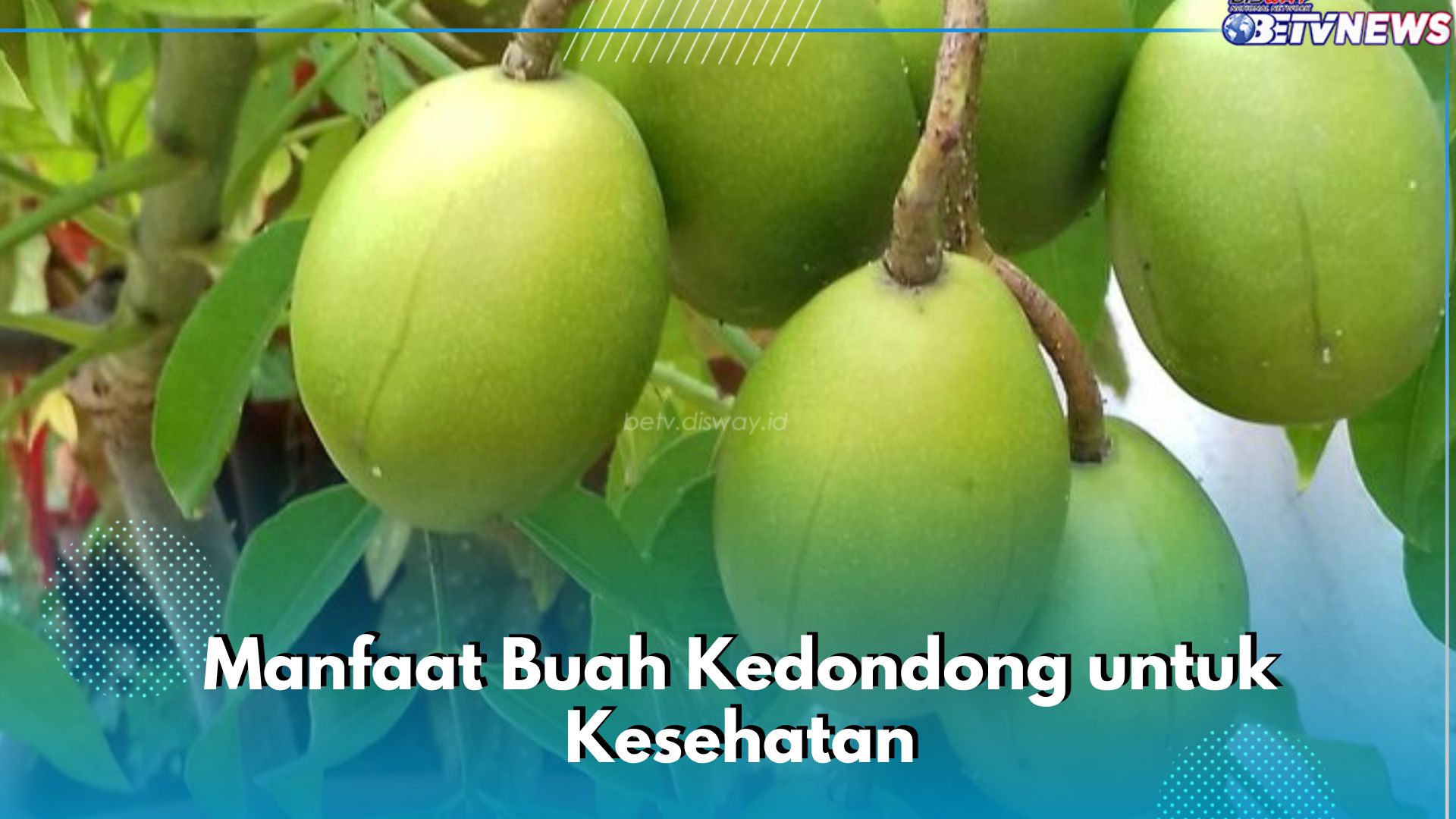 6 Manfaat Buah Kedondong bagi Kesehatan Tubuh, Dipercaya Dapat Menjadi Obat Batuk