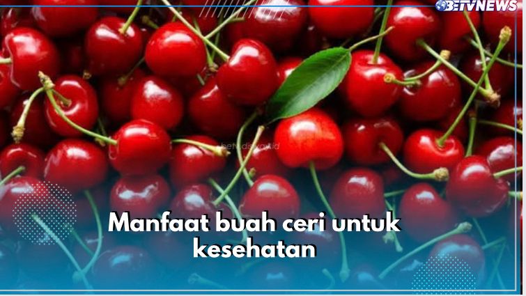 Ampuh Kurangi Stres Oksidatif! Ini 6 Manfaat Lain Buah Ceri untuk Kesehatan