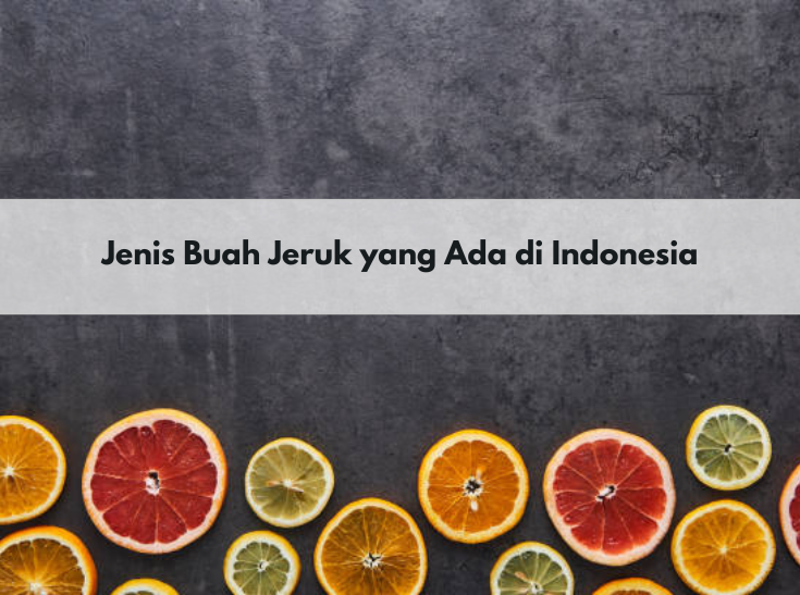 Jeruk Mandarin hingga Jeruk Purut, Inilah 8 Jenis Buah Jeruk yang Ada di Indonesia, Pernah Coba yang Mana?