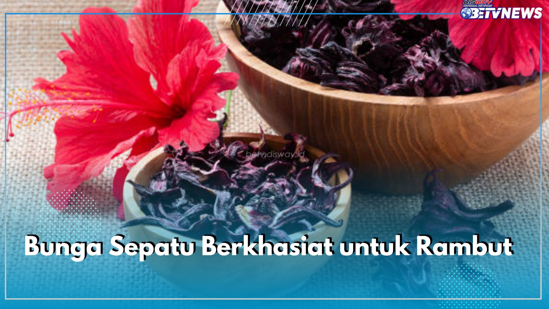 Tidak Hanya Kulit, Bunga Sepatu Berkhasiat untuk Rambut, Cek Sederet Manfaatnya di Sini