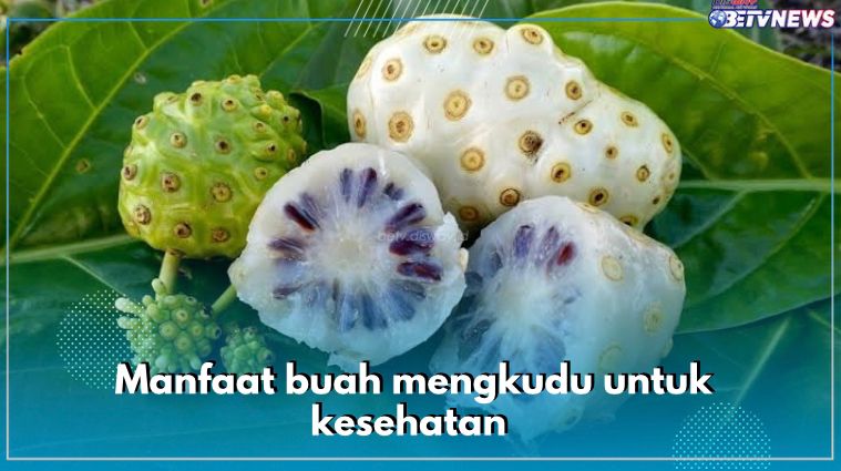 Punya Bau Menyengat, Buah Mengkudu Tawarkan 10 Manfaat Ini untuk Kesehatan