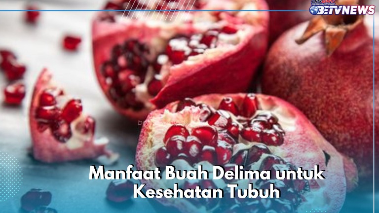 Buah Delima Aman Dikonsumsi Sehari-hari, Ini 7 Manfaat yang Baik bagi Kesehatan Tubuh