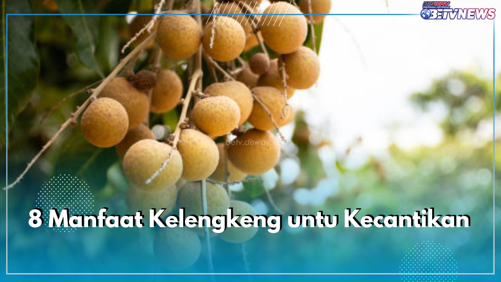 Kelengkeng Tawarkan 8 Manfaat Ini untuk Kecantikan, Nomor 7 Bantu Detoksifikasi Tubuh