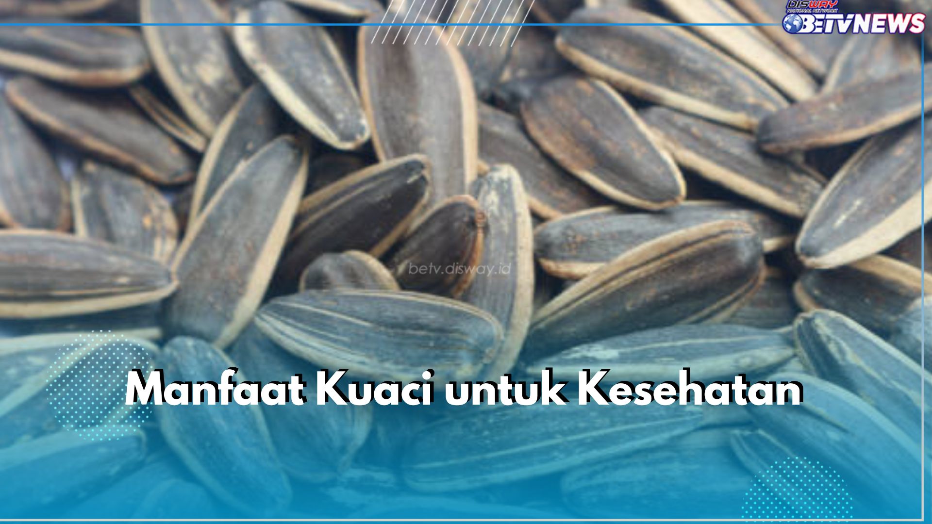 5 Manfaat Tak Terduga Kuaci untuk Kesehatan, Bisa Bantu Kontrol Berat Badan