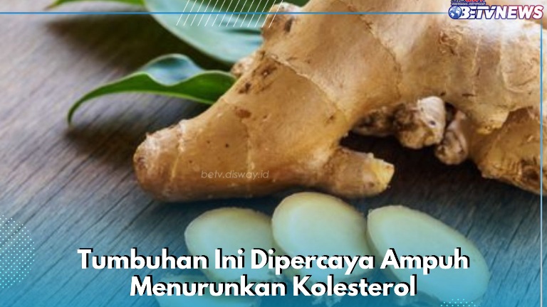 Tumbuhan Ini Dipercaya Ampuh Menurunkan Kolesterol, Cukup Konsumsi Secara Rutin