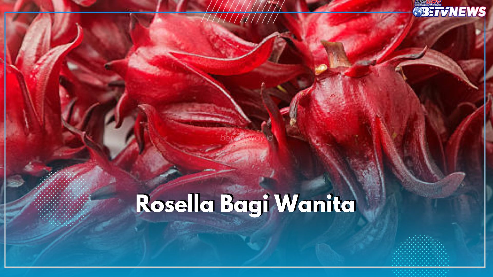 10 Manfaat Bunga Rosella untuk Wanita, Cegah Berbagai Penyakit