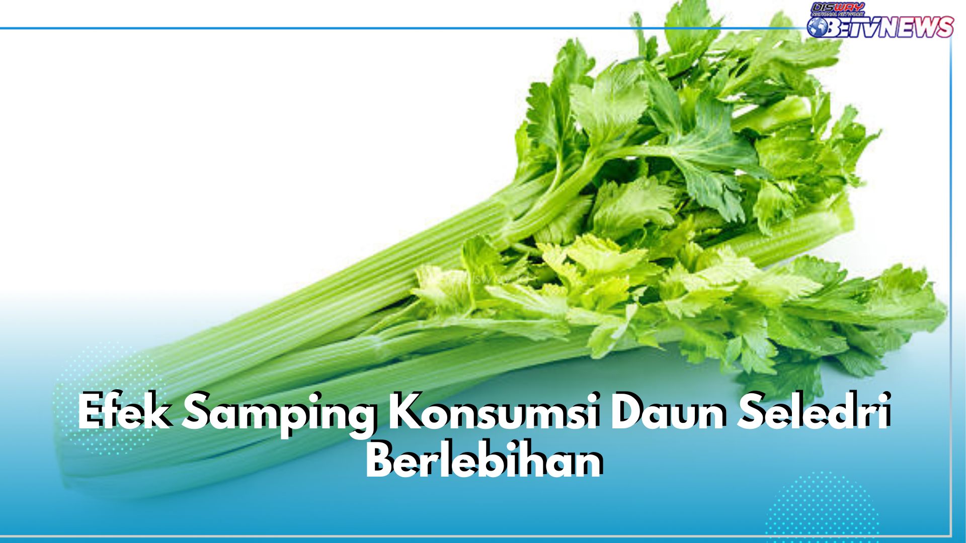 Waspadai 4 Efek Samping Konsumsi Seledri Berlebihan Ini, Bisa Sebabkan Masalah Ginjal, Gunakan Seperlunya!