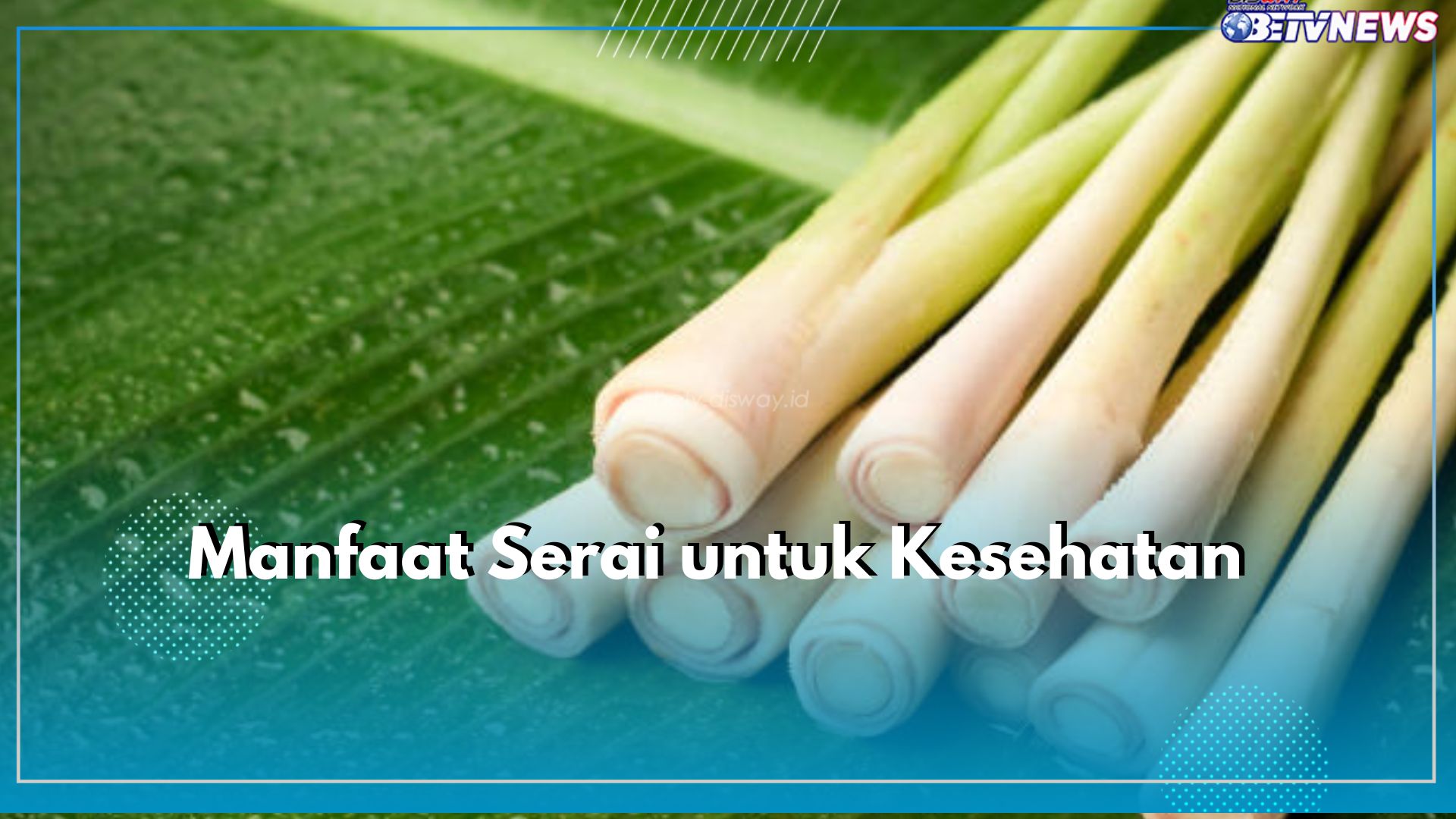 5 Manfaat Serai untuk Kesehatan, Redakan Peradangan hingga Kurangi Stres