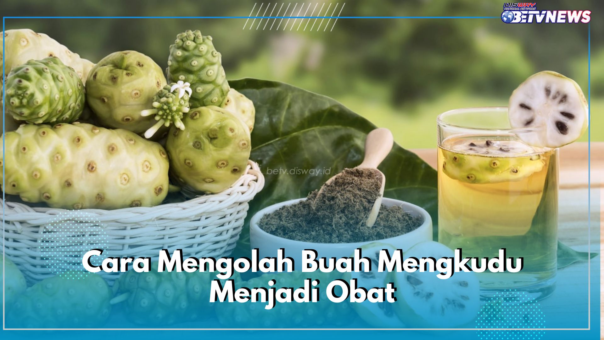 Mudah Banget! Ini 5 Cara Olah Buah Mengkudu Jadi Obat, Salah Satunya Dibuat Jus