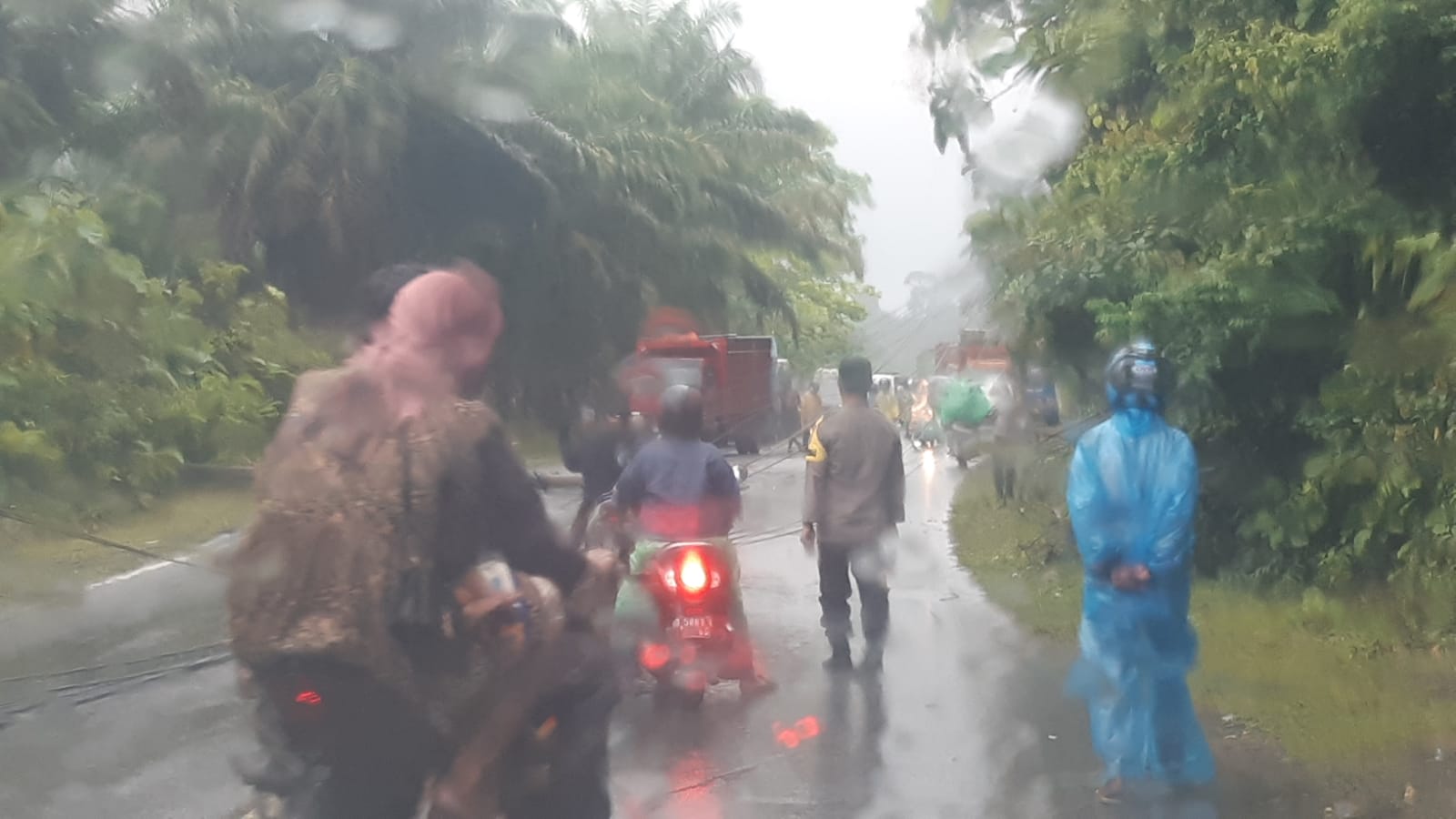 Hujan Deras di Kabupaten Kaur, Tiang Listrik Roboh hingga Ganggu Akses Jalan