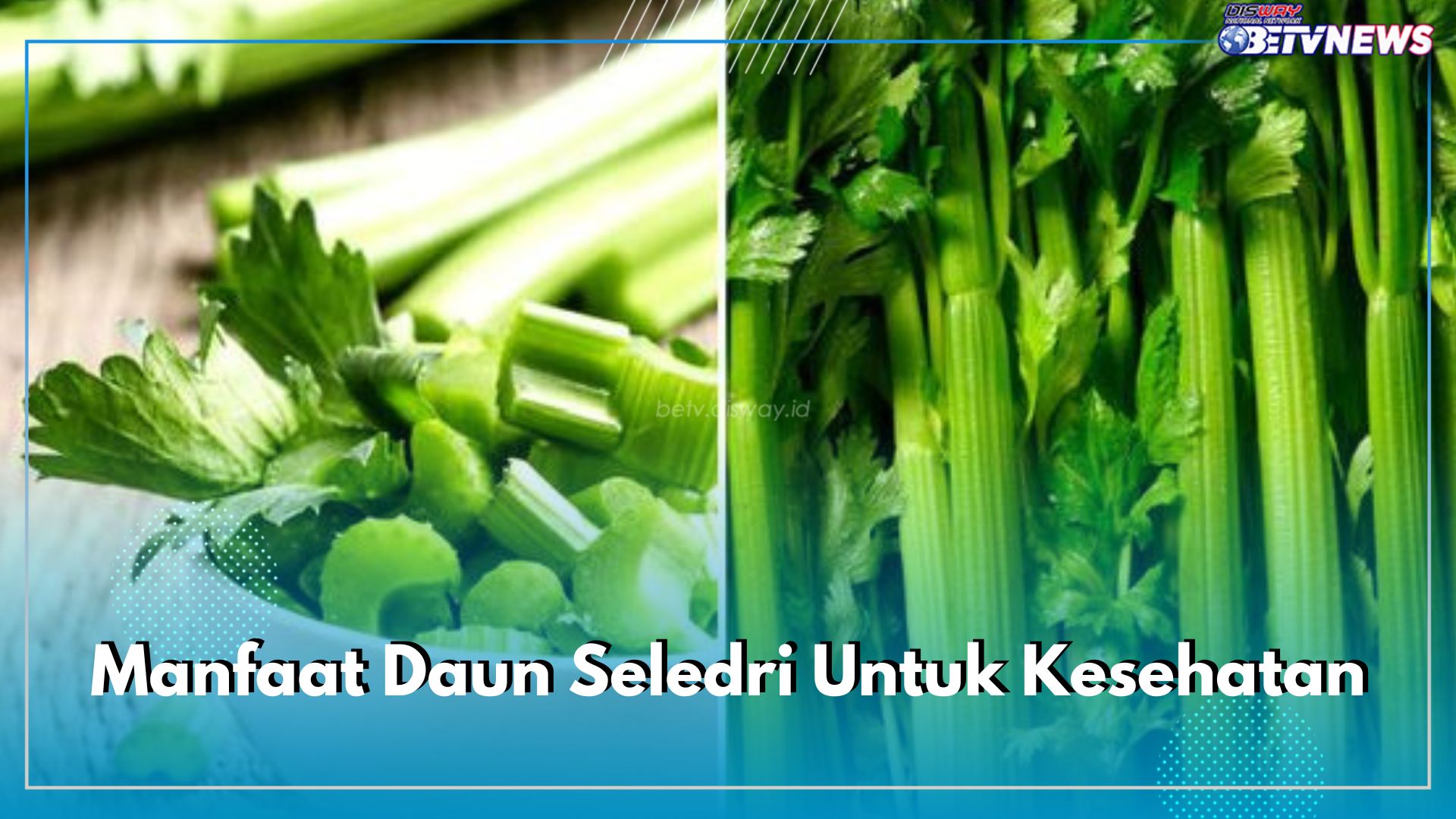 Daun Seledri Ampuh Atasi Masalah Kesuburan Pada Pria, Cek Manfaat Lainnya untuk Kesehatan