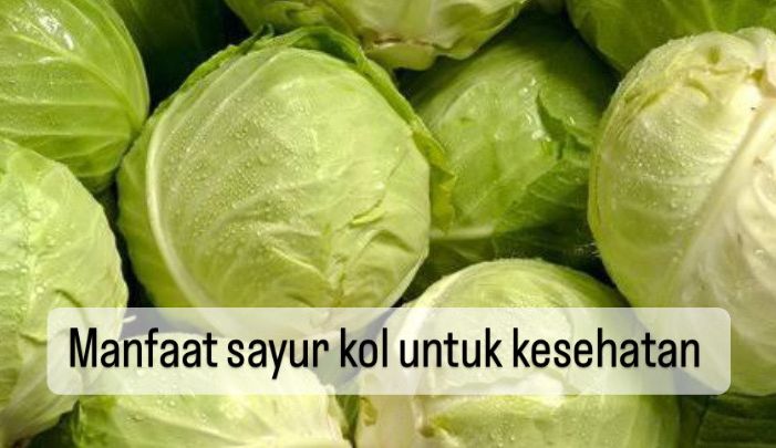 10 Manfaat Sayur Kol untuk Kesehatan, Turunkan Peradangan hingga Jaga Kesehatan Kulit