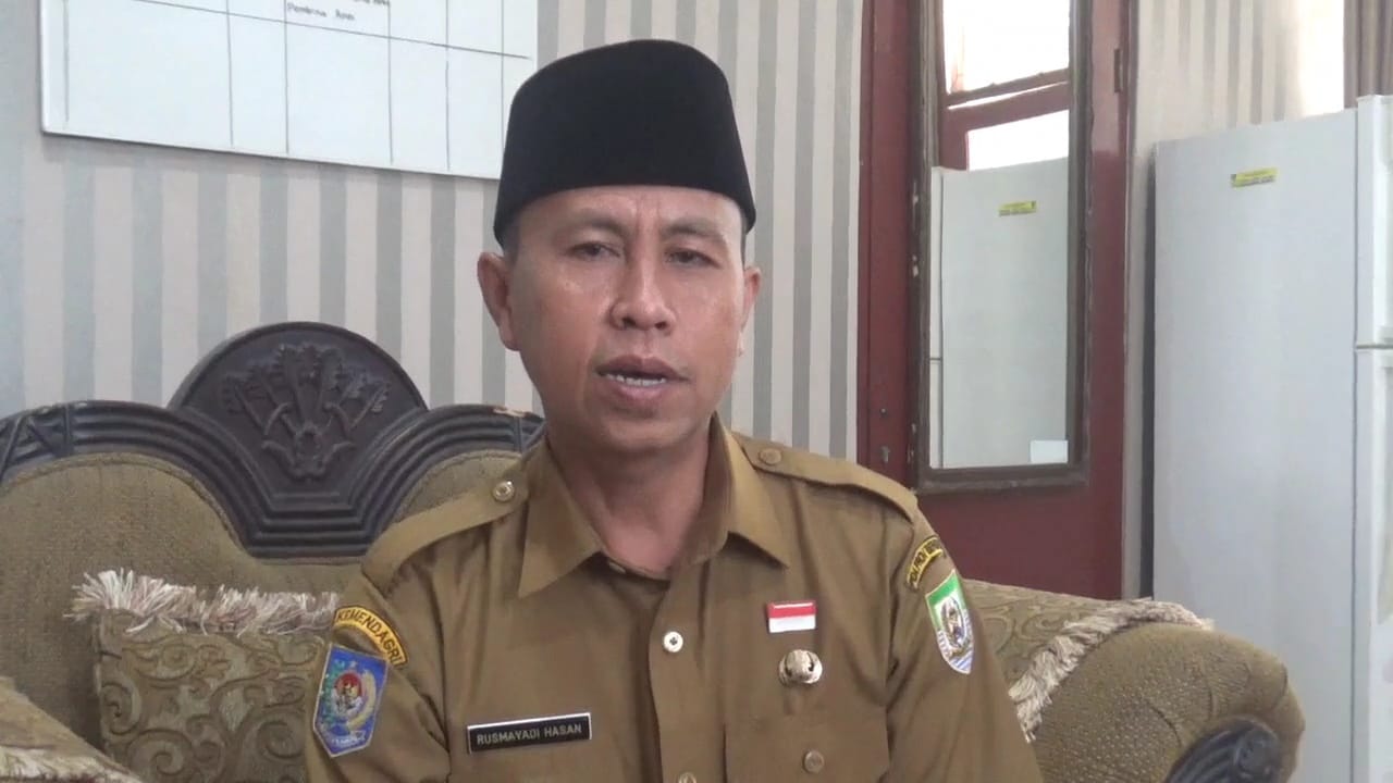 4.423 Pegawai Pemprov Bengkulu di Setujui Jadi PPPK Paruh Waktu, Batas Pengisian DRH Hingga 22 September