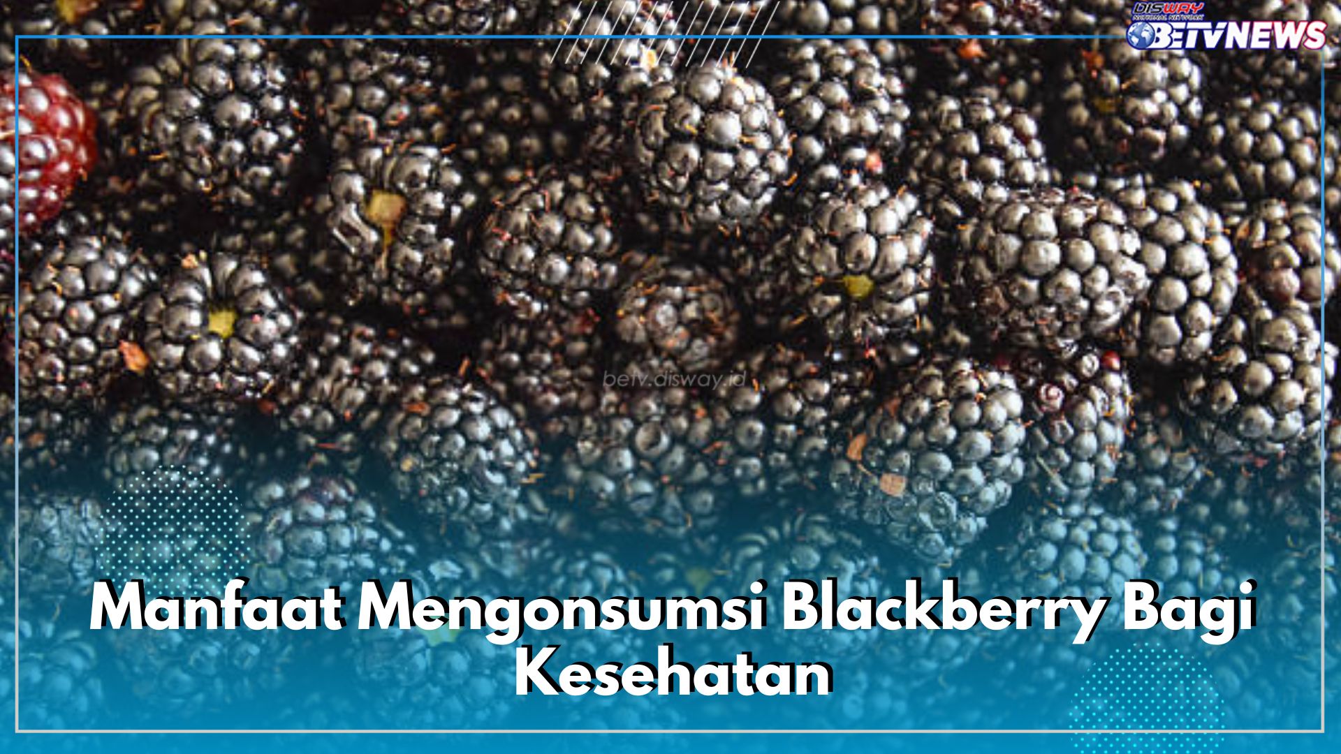 Ampuh Mengatasi Beragam Penyakit, Cek 7 Manfaat Mengonsumsi Blackberry Bagi Kesehatan Tubuh