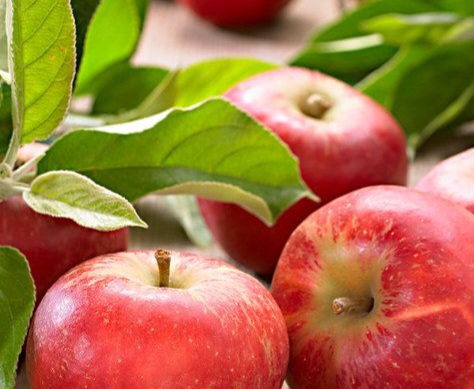 Bantu Kenyang Lebih Lama, Ini Daftar Buah yang Bagus untuk Diet dan Jaga Berat Badan