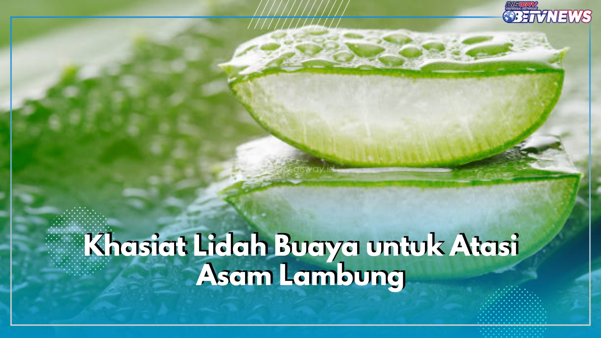 Jarang Diketahui! Ini Sederet Khasiat Lidah Buaya untuk Atasi Asam Lambung, Apa Saja?