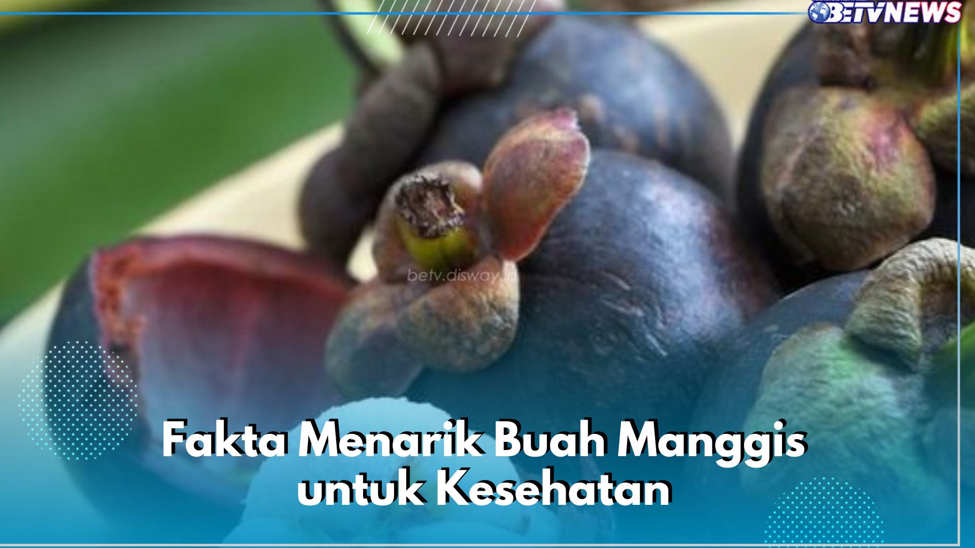 7 Fakta Menarik Buah Manggis yang Jarang Diketahui, Dapat Membuat Kulit Awet Muda