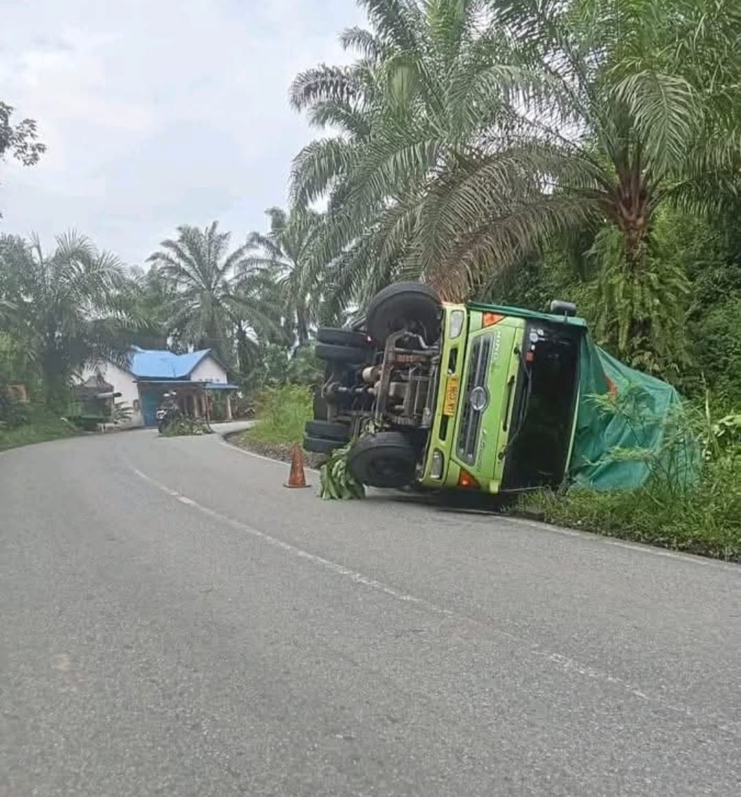 Tikungan Tajam Sendawar Seluma Telan Korban, Truk Muatan Makanan Ringan Terguling