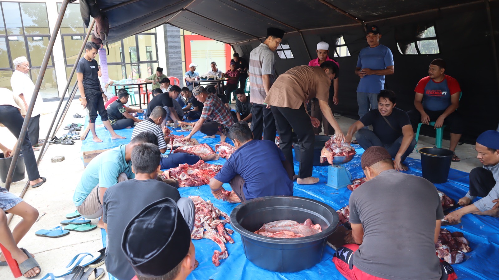 Personel Polres Mukomuko Gotong Royong Potong Hewan Kurban Iduladha