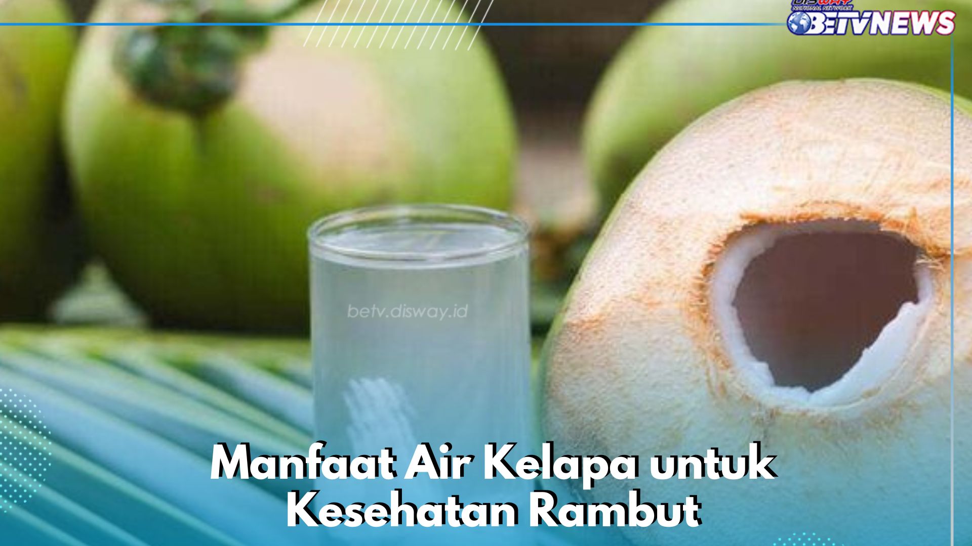 Cukup Gunakan Air Kelapa Sehari-hari, Baik untuk Menjaga Kesehatan Rambut, Ini Manfaatnya