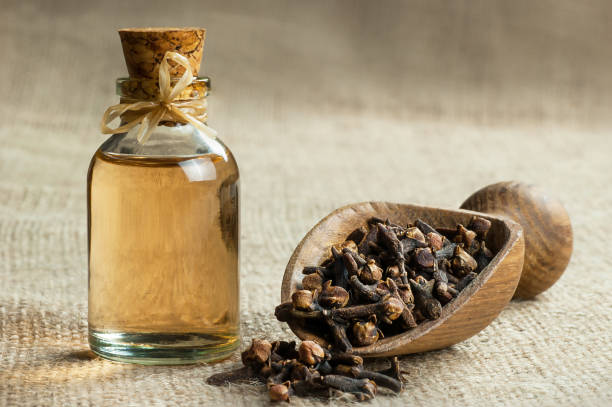 Sering Alami Sakit Perut? Coba Atasi dengan Minyak Cengkeh, Cek Manfaatnya Disini!