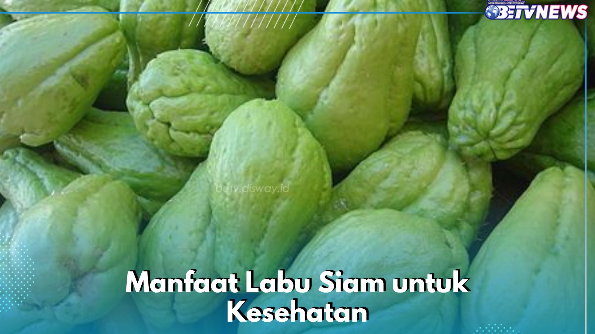 6 Manfaat Labu Siam yang Jarang Diketahui, Dipercaya Dapat Menjaga Fungsi Hati