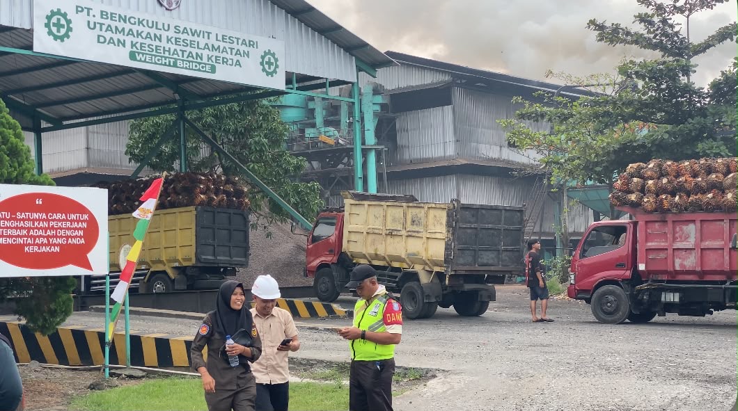 Harga TBS Sawit Bengkulu Selatan Bertahan, PT BSL Rp2.930 per Kilogram 