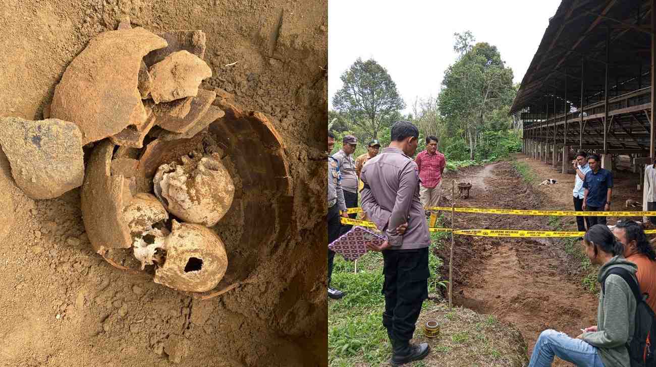 Geger! Warga Kepahiang Temukan 3 Tengkorak Kepala Manusia di Dalam Guci
