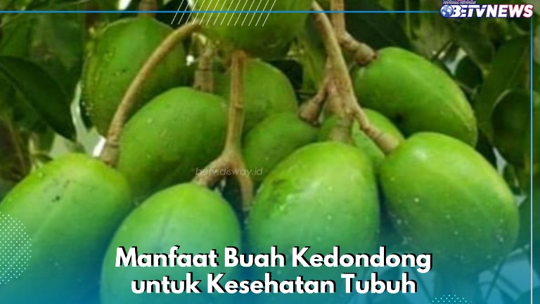 Buah Kedondong Ini Enak dan Sehat, Cek Manfaatnya di Sini! Ampuh Meningkatkan Imunitas Tubuh