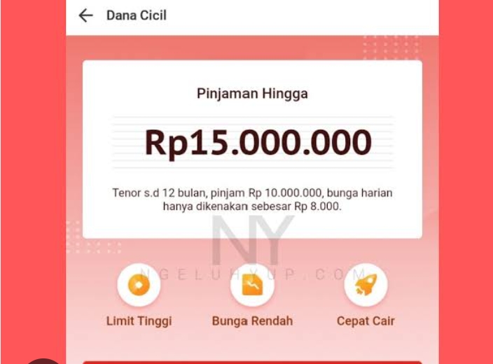 Bukan DANA Paylater! Aktifkan Segera Fitur Ini, Belum Banyak yang Tahu dan Pinjaman Rp15 Juta Masuk Rekening