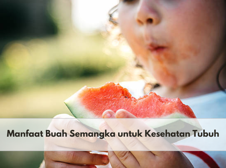 Baik untuk Penderita Kolesterol, Simak Manfaat Buah Semangka untuk Kesehatan Lainnya di Sini