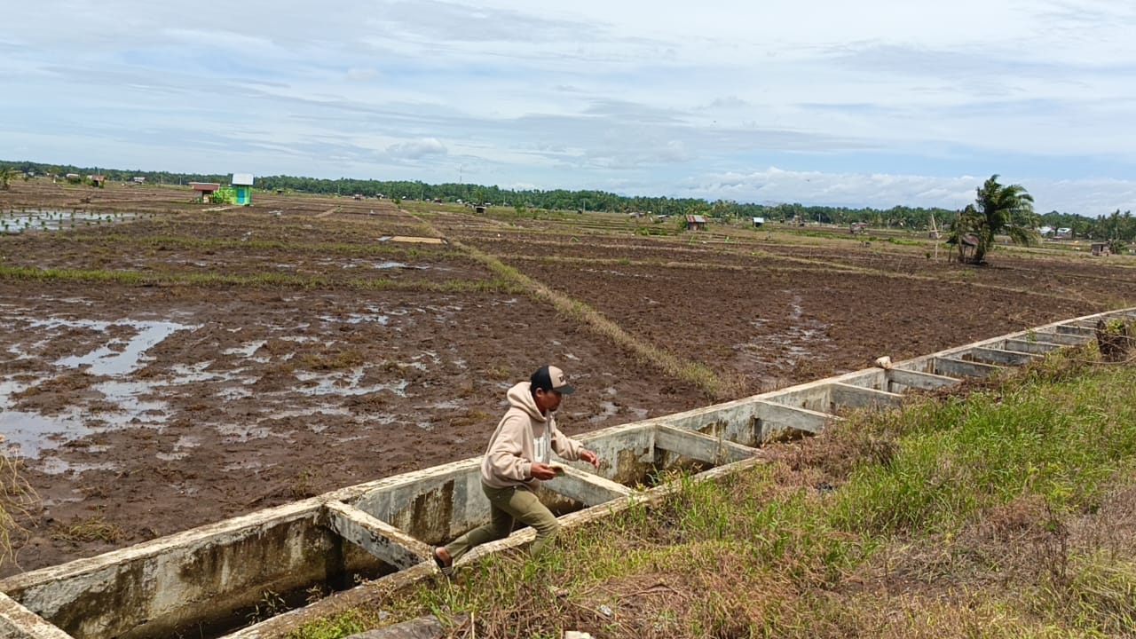 Antisipasi Gagal Panen, Distan Seluma Ajak Petani Ikuti Program Asuransi Usaha Tani Padi