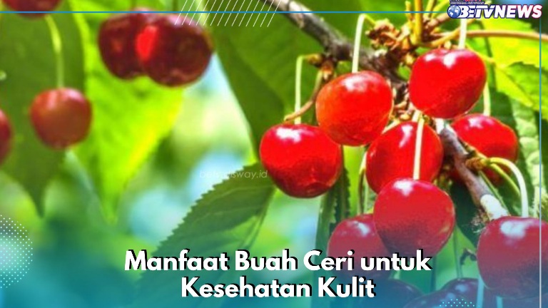 Buah Ceri Bisa Membuat Wajah Makin Sehat dan Halus, Cek Manfaat Lengkapnya di Sini