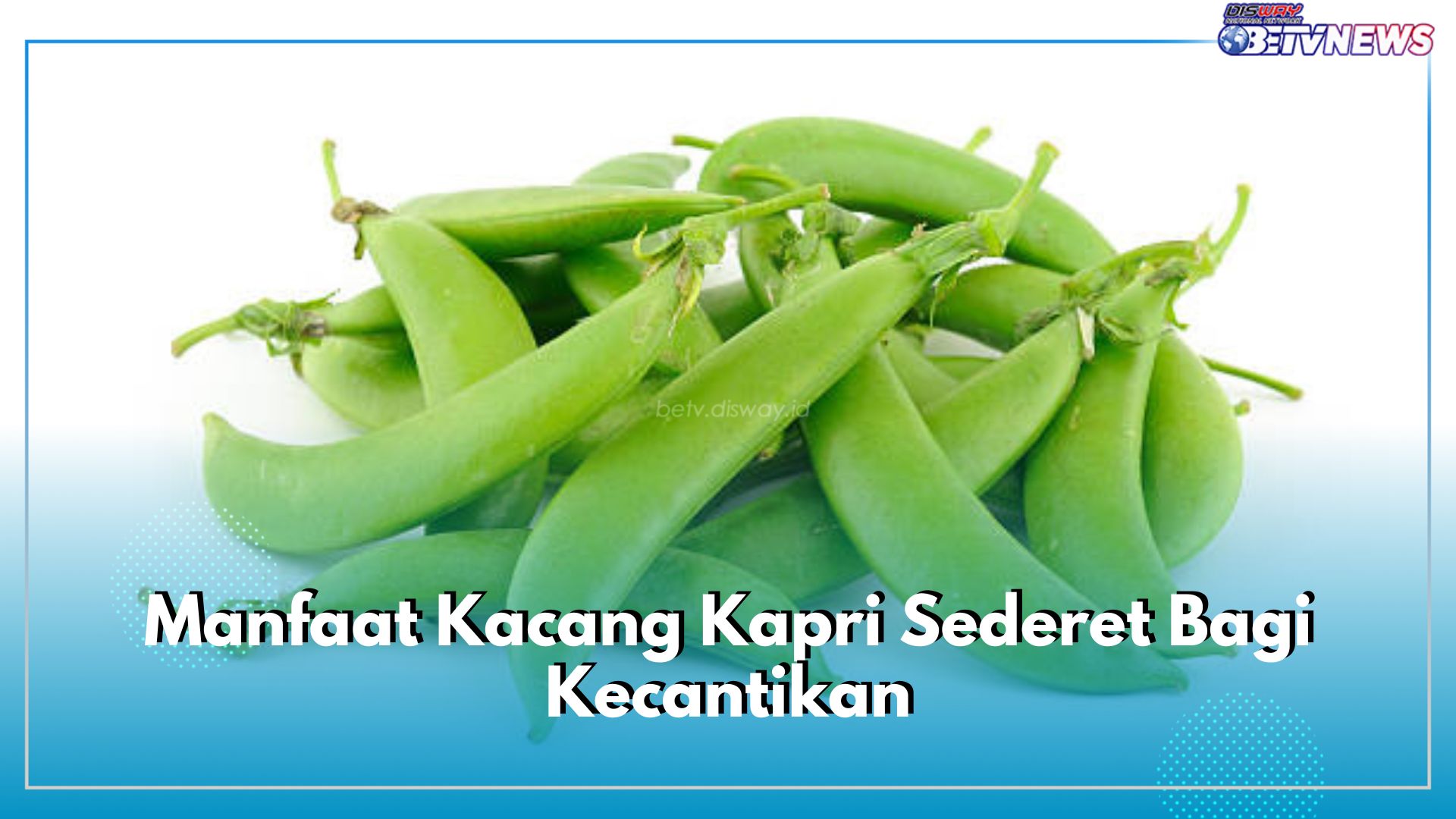 Inilah Jumlah Kandungan Gizi Dalam Kacang Kapri, Nutrisinya Tawarkan Sederet Manfaat Bagi Kecantikan