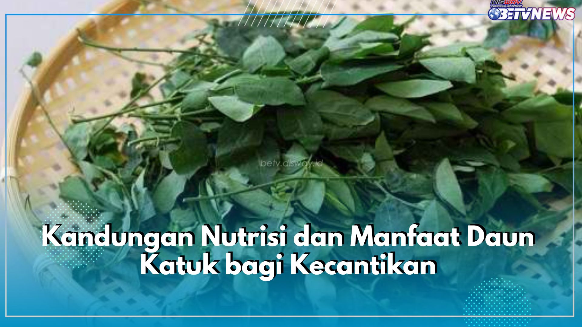 Jarang Diketahi! Daun Katuk Punya Efek Penghilang Flek di Kulit Wajah, Ini Kandungan serta Manfaat Lengkapnya