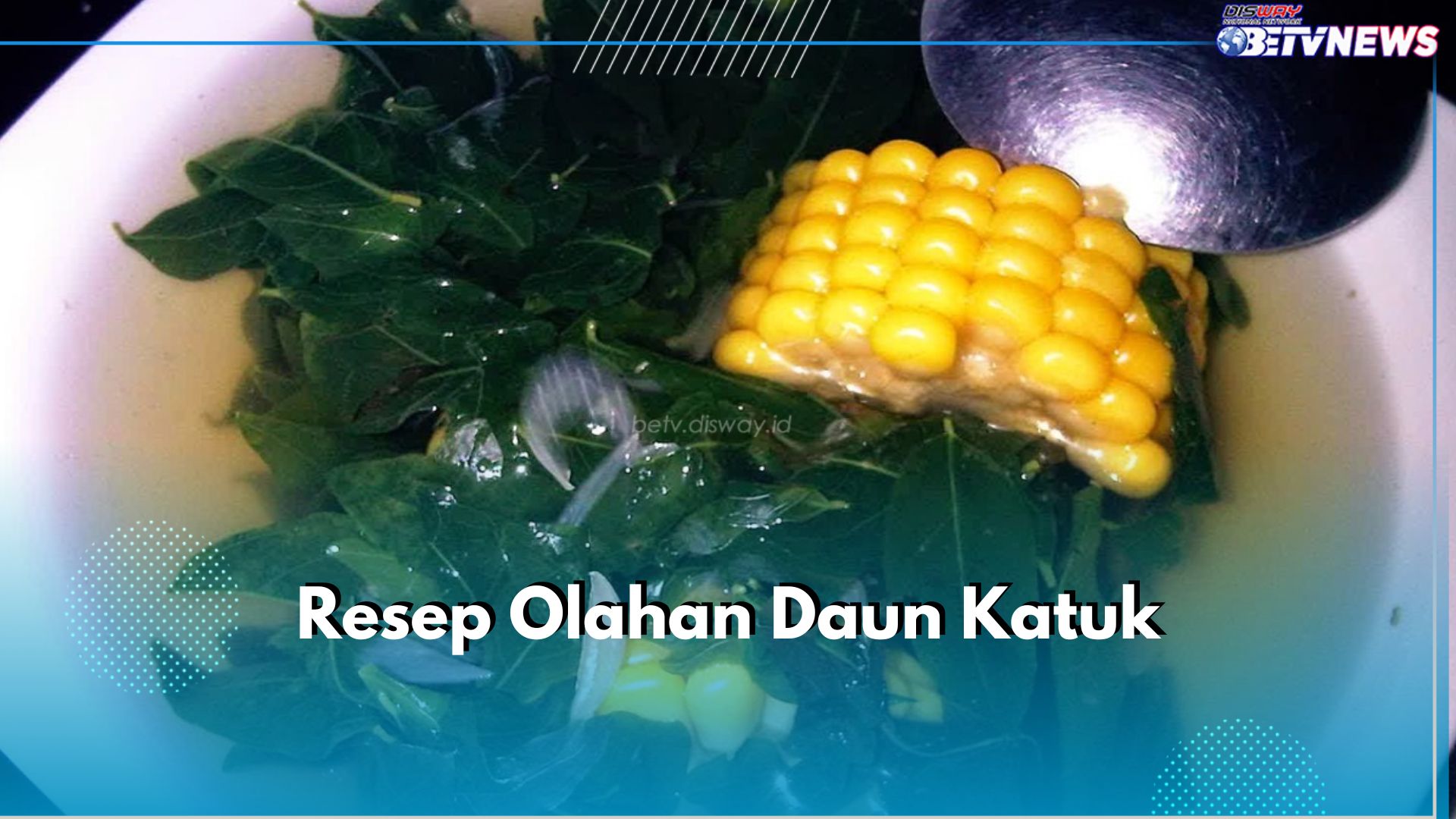 Lezat dan Sehat! Ini 3 Resep Masakan Olahan Daun Katuk yang Bisa Kamu Coba