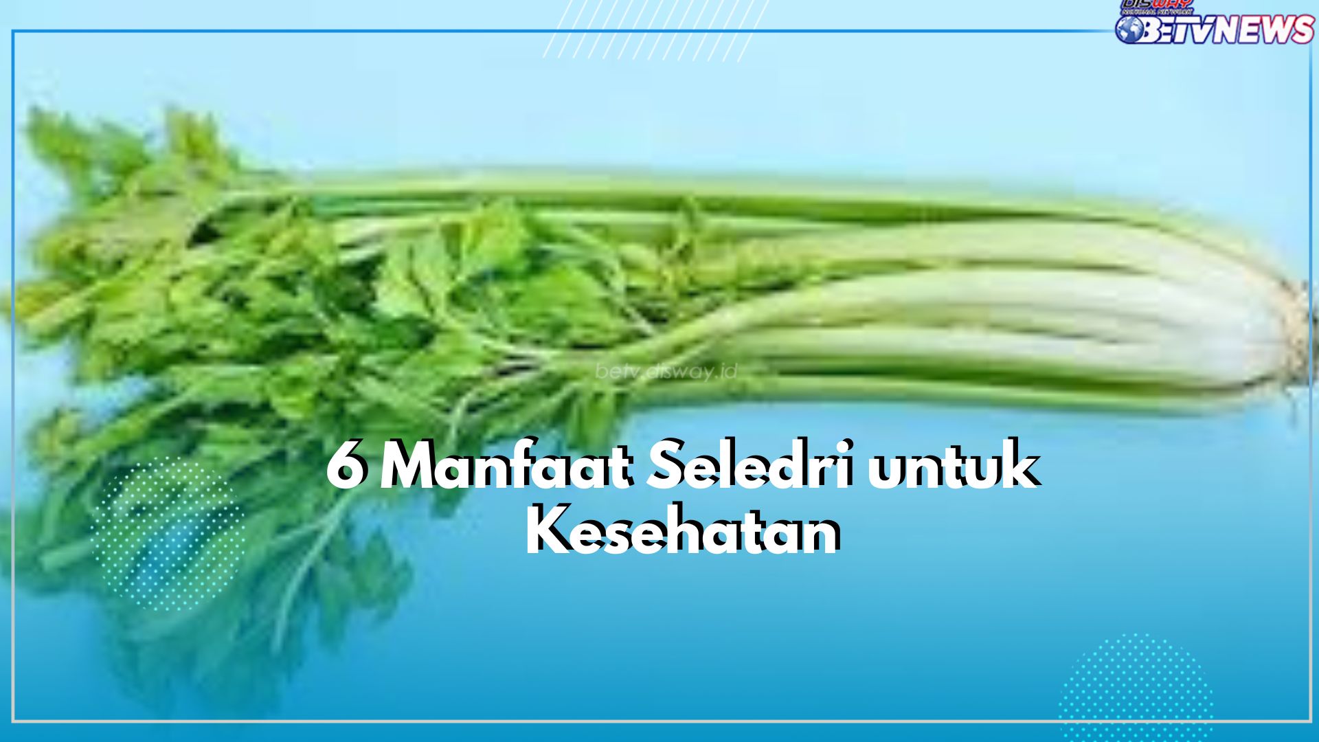 Cek Kandungan Nutrisi dan Manfaat Seledri untuk Kesehatan, Salah Satunya Bikin Tubuh Tetap Ideal