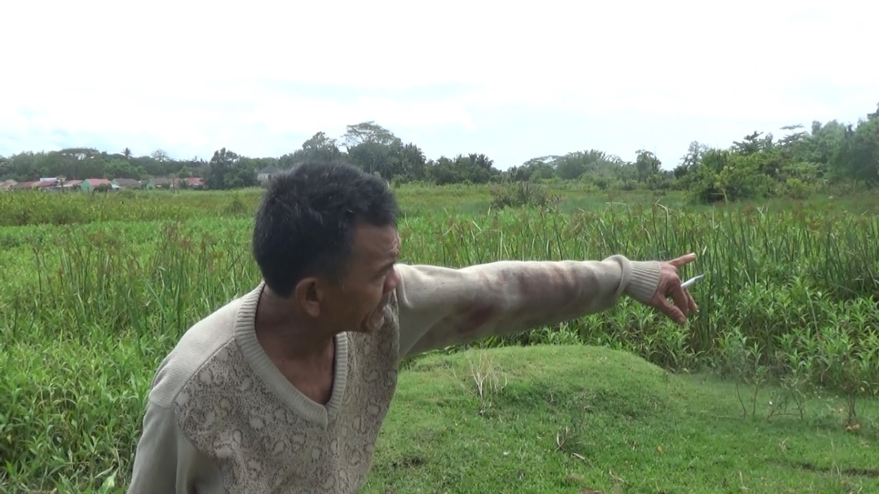 Aksi Pencurian 2 Ekor Sapi di Kota Bengkulu Kepergok Pemilik, Sebut Sudah Empat Kali Terjadi