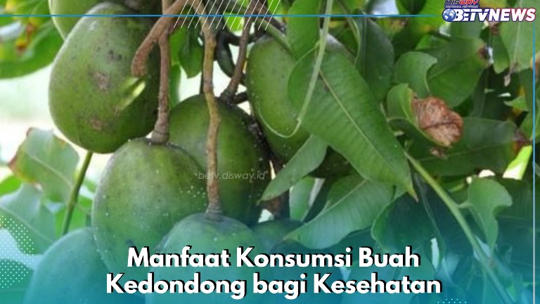 Buah Kedondong Baik bagi Kesehatan Tubuh, Cek Manfaat Lainnya di Sini