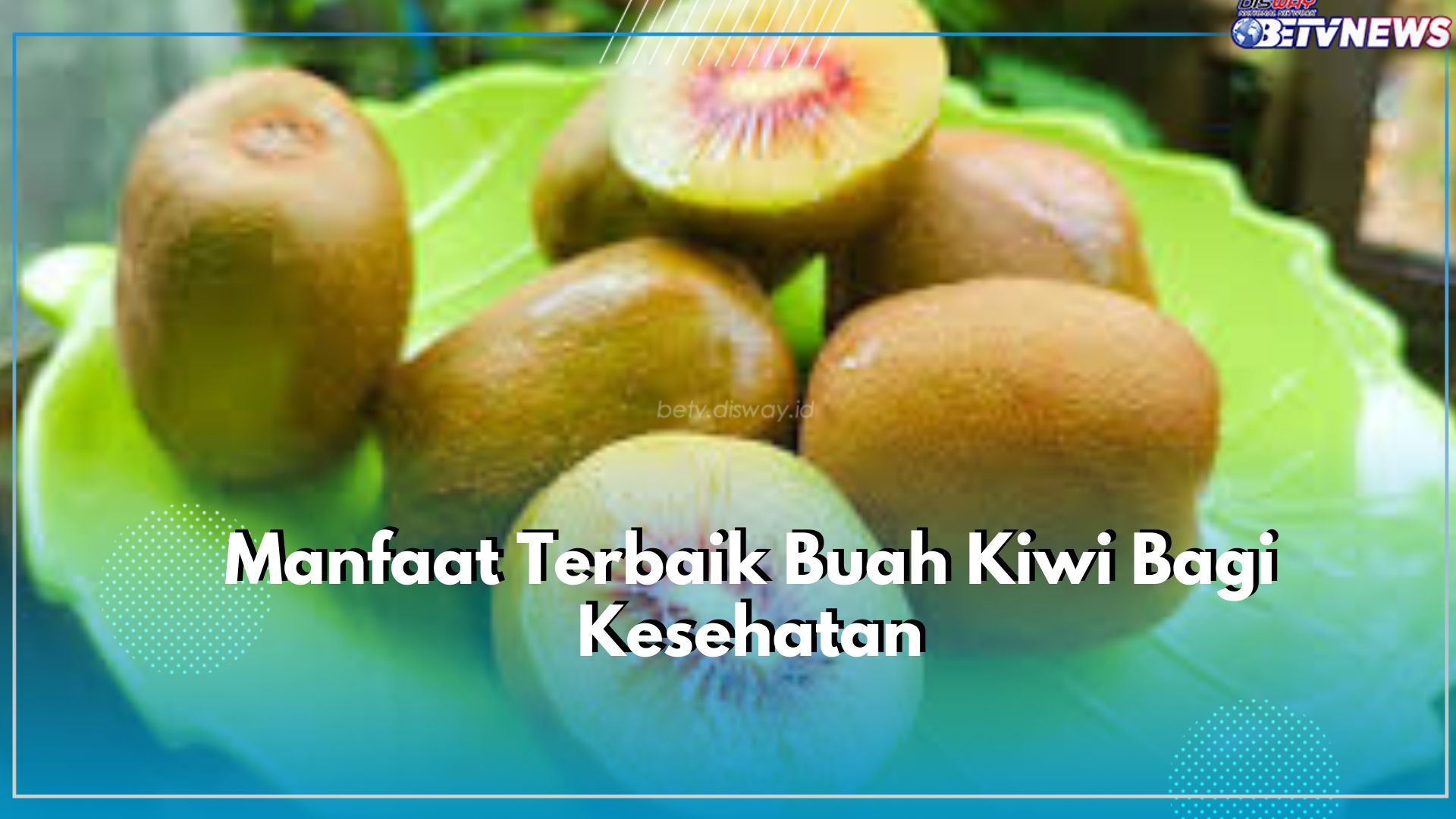 Ampuh Meningkatkan Kualitas Tidur, Klaim Disini Manfaat Terbaik yang Ditawarkan Buah Kiwi Bagi Kesehatan