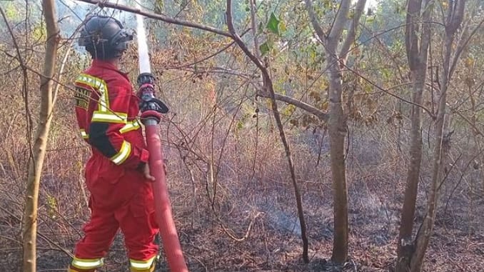 Kasus Kebakaran Hutan dan Lahan Jadi Fokus Damkar Kota Bengkulu