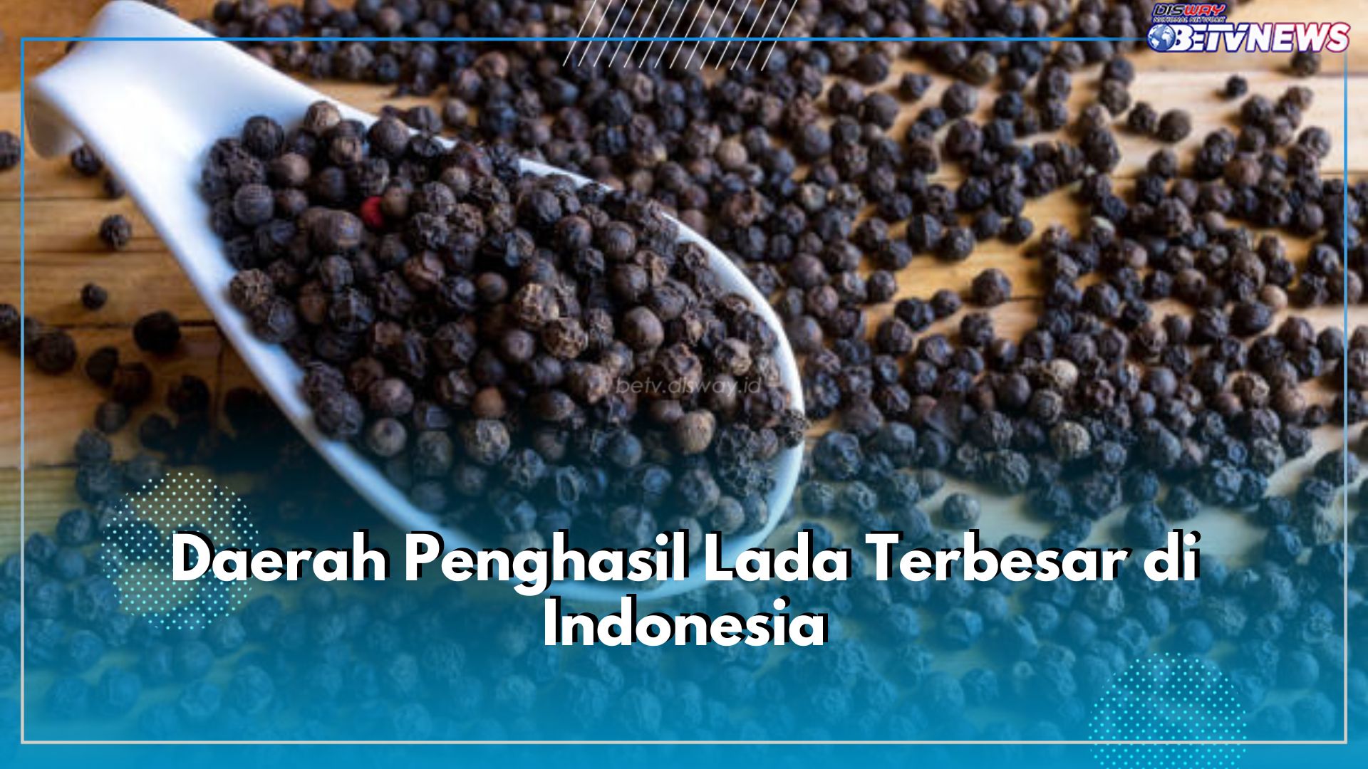 Capai Ribuan Ton, Ini 7 Daerah Penghasil Lada Terbesar di Indonesia, Bengkulu Termasuk?