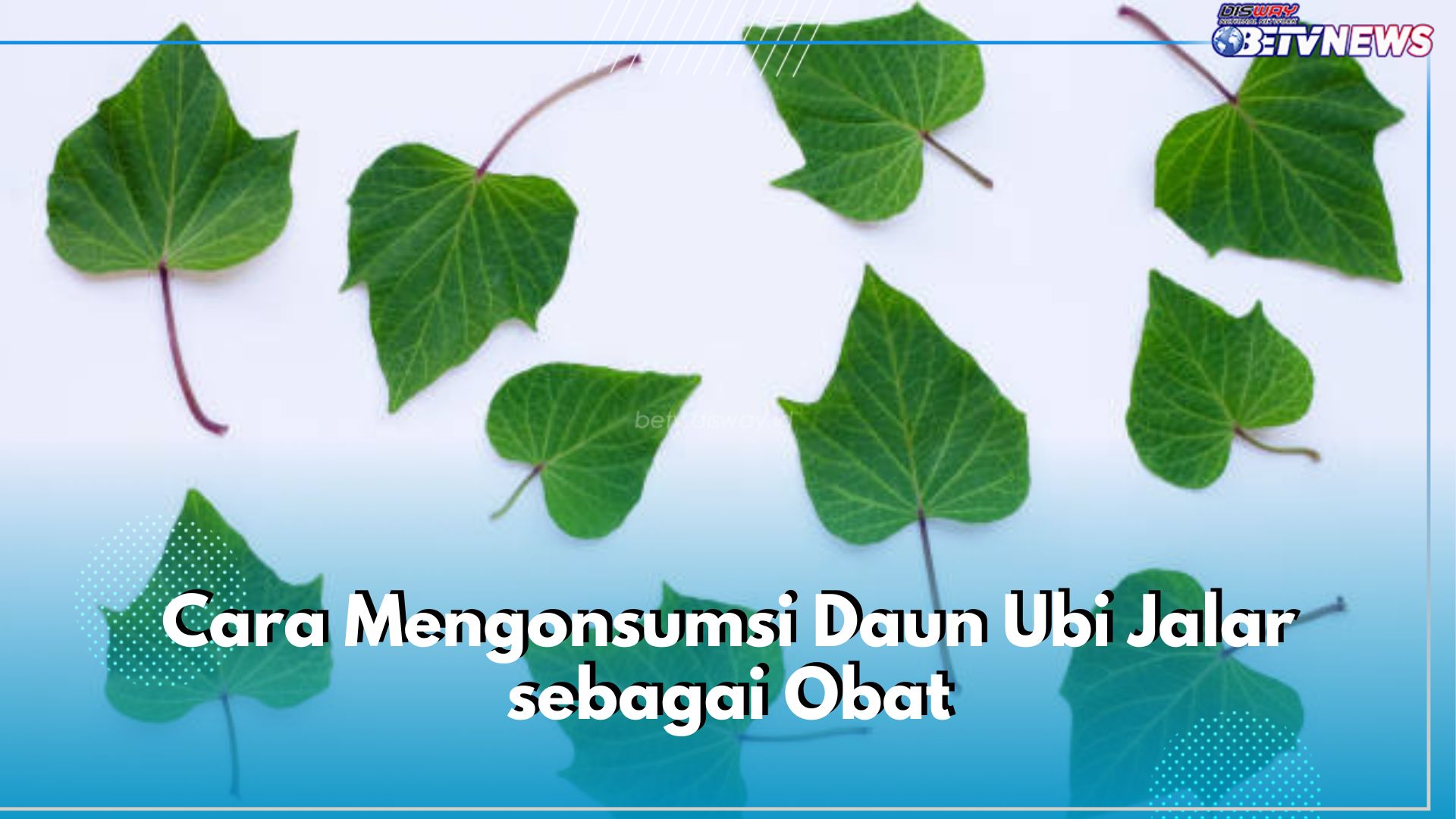 Ini 5 Cara Konsumsi Daun Ubi Jalar sebagai Obat, Dijadikan Teh hingga Salad