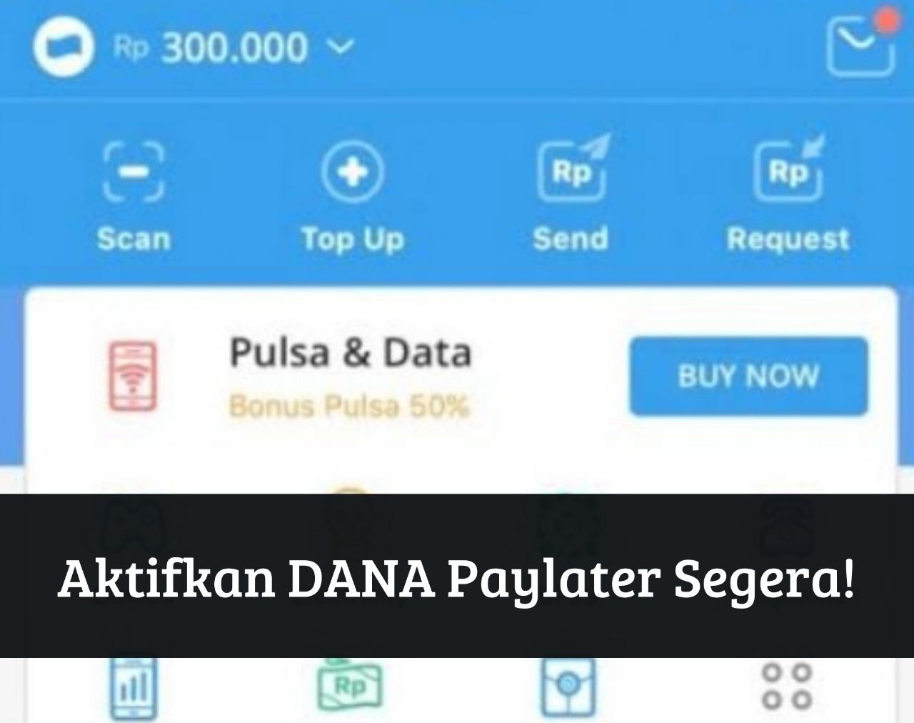 Cukup Pakai KTP! Langsung Cair Saldo Online Rp10 Juta, Segera Aktifkan Fitur DANA Paylater di HP