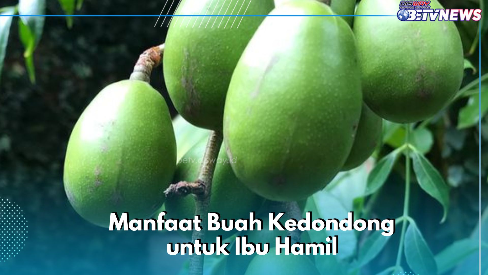 Manfaat Lain Buah Kedondong untuk Kesehatan Ibu Hamil, Konsumsi Secukupnya, Cek di Sini