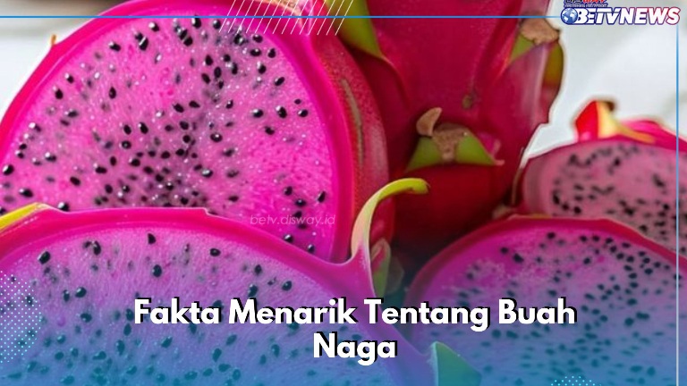 Selain Baik untuk Kesehatan, Buah Naga Aman Dikonsumsi Sehari-hari, Cek Fakta di Sini!